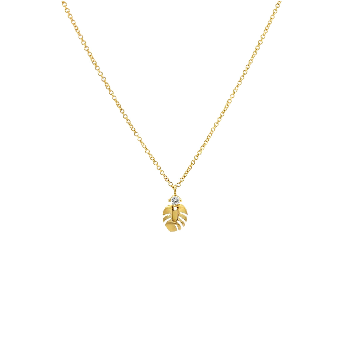 14K Monstera