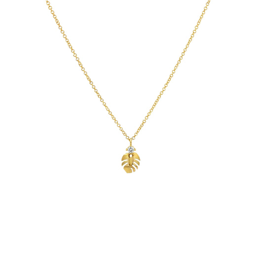 14K Monstera